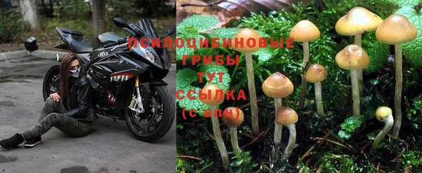 тгк Бронницы