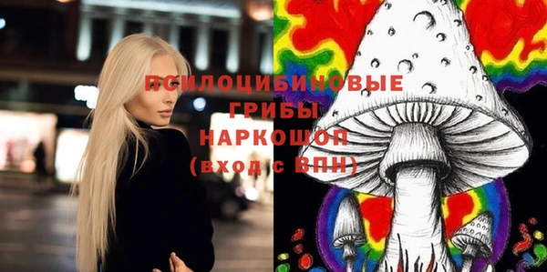 тгк Бронницы