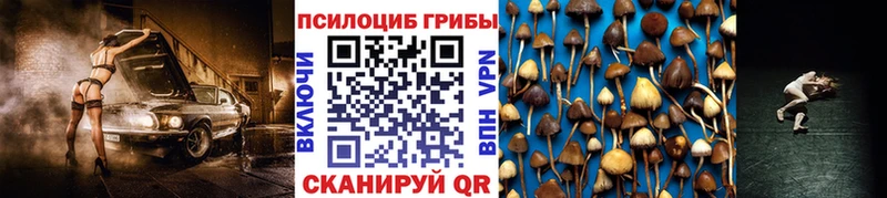 Псилоцибиновые грибы Magic Shrooms  Хасавюрт 