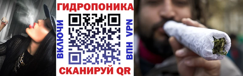 Конопля Bruce Banner  Хасавюрт 
